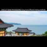 부산 기장 해동용궁사 바다 위 사찰 관람 포인트 및 효율적인 방문 방법