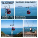 사천 바다케이블카 크리스탈 캐빈 탑승 방법과 아쿠아리움 관람 꿀팁