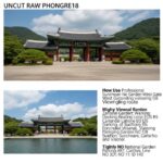 순천만 국가정원 서문 주차장 이용 방법과 최적의 관람 동선