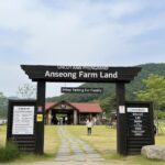 안성 팜랜드 가족 단위 방문객 주차 명당 및 주차 요금 정보