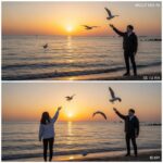 대부도 방아머리해수욕장 노을 산책 및 갈매기 먹이 주기 체험