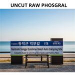 남해 상주 은모래비치 오토캠핑장 명당 선택과 주차 요금 완벽 정리