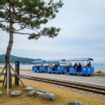 여수 만성리 검은모래해변 주차장 및 레일바이크 근처 주차 팁