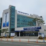 울진 망양정 해수욕장 주차 걱정 없는 엑스포 공원 무료 주차장 활용 방법