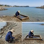 고창 구시포 해수욕장 조개잡이 체험 및 인근 주차장 현황