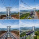 단양 만천하스카이워크 짚와이어 및 알파인코스터 이용 방법