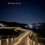 부여 궁남지 연꽃 단지 야간 조명 뷰 포인트 및 산책로