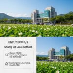 부여 궁남지 연꽃축제 주차장 위치 및 셔틀 이용 방법