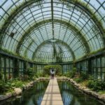 대전 한밭수목원 곤충박물관 및 열대식물원 관람법 핵심 정리