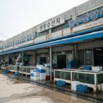 대천항수산시장 회포장 시세와 제철 수산물 합리적으로 즐기는 방법