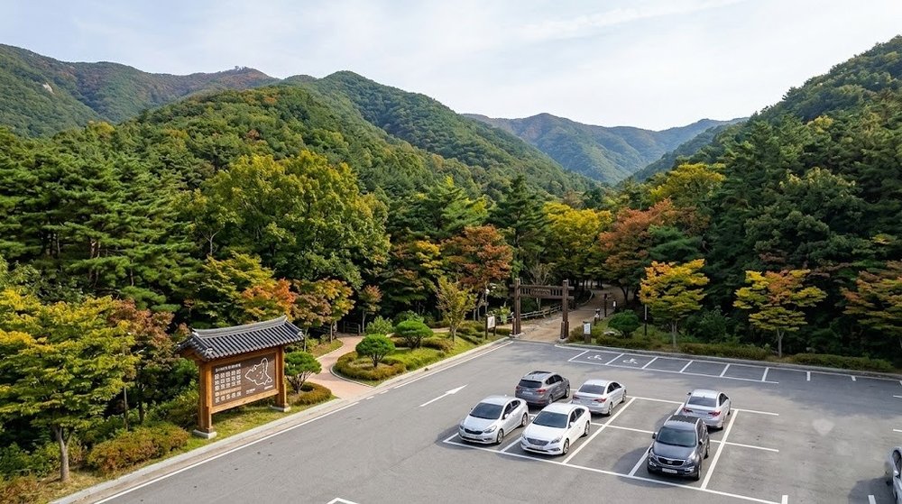 홍천 무궁화 수목원 무료 주차장 모습