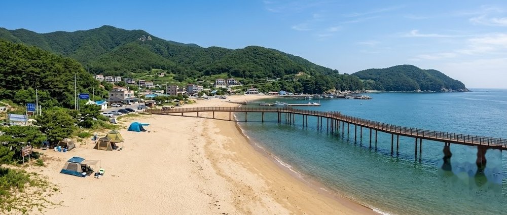 거제 명사해수욕장 캠핑 반려견 동반 요금 및 다포항 차박 비교